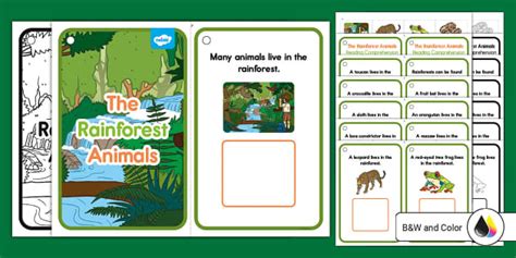 The Rainforest Animals Adapted Reader (teacher made)