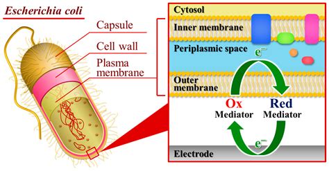 Rotating Droplet Hydrodynamic Electrochemistry for Water Toxicity ...