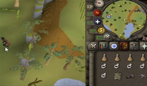 OSRS Best AFK Hunter Methods - 1-99 Hunter Guide - NovaMMO