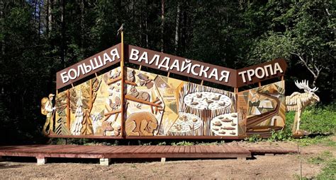 Большая Валдайская тропа