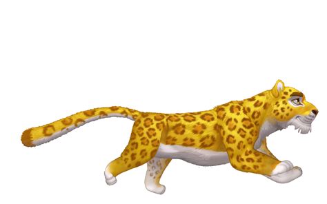 Image result for Cycle Animation Animals