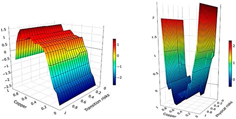 Assessing the Impacts of Transition and Physical Climate Risks on ...