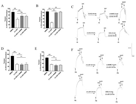 Impact of Short-Term (+)-JQ1 Exposure on Mouse Aorta: Unanticipated ...