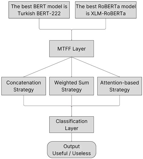 Explainable Turkish E-Commerce Review Classification Using a Multi ...
