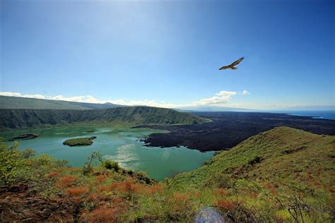 Lista Verde: Galápagos busca destacarse como una de las mejores Áreas ...