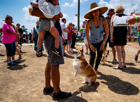 See photos from the Michigan Celtic Festival - mlive.com
