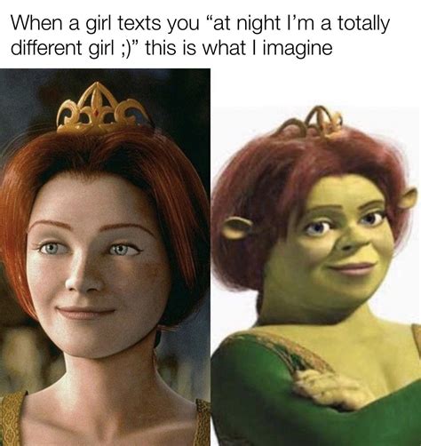 20+ Shrek Memes for Fairy Tale Fans and Ogre Enthusiasts - Memebase ...