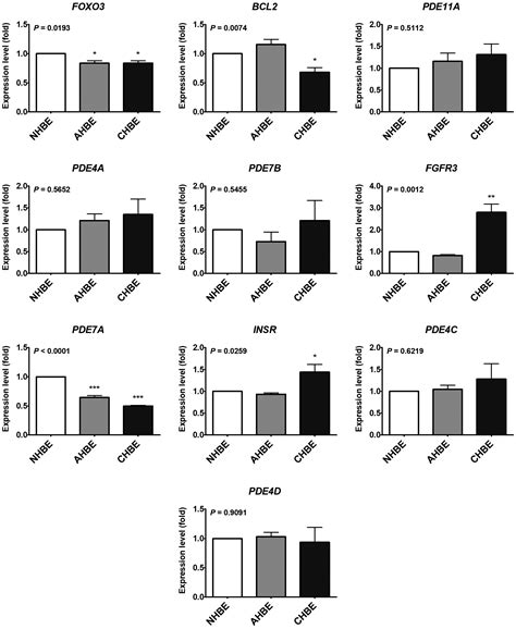 Deducting MicroRNA-Mediated Changes Common in Bronchial Epithelial ...