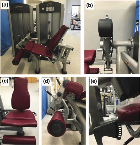 Image result for Leg Extensor Machine