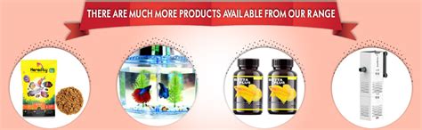 VAYINATO Peqon Artemia Cysts Brine Shrimp Eggs With 90% Hatching Rate ...