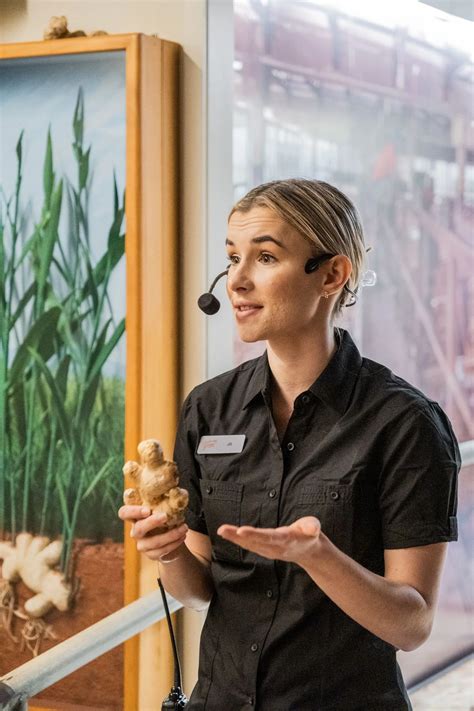 Taste of Ginger Tour now at The Ginger Factory — The Sunshine Valley Gazette