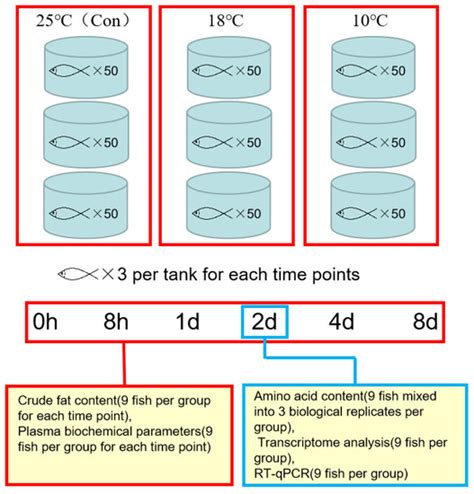 PPAR Signaling Maintains Metabolic Homeostasis under Hypothermia in ...