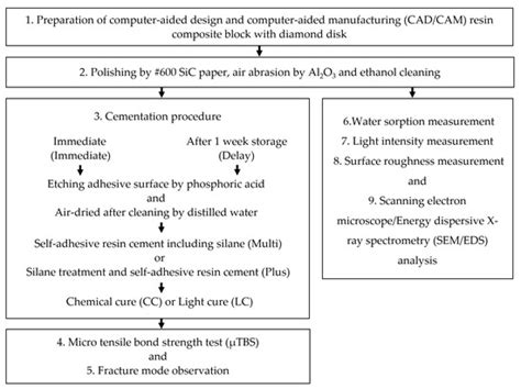 Effects of Immediate and Delayed Cementations for CAD/CAM Resin Block ...