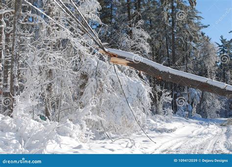 Electrical Tree Exploding 的图像结果