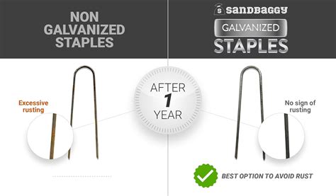 Buy Sandbaggy Galvanized 6-Inch Landscape Staples ~ 9 Gauge Steel ...