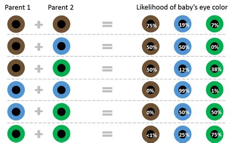 How eye color is determined: from brown to blue