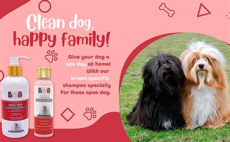 Buy BWB BLACK WHITE BROWN Natural Dog Shampoo For Lhasa Apso .Paraben ...