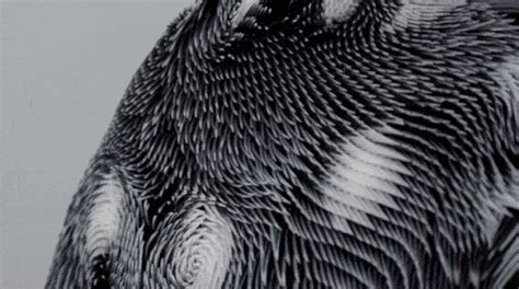 The New 3-D Printed Garment That Changes Shape When People Are Staring ...