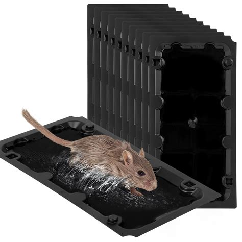 10 Pack Sticky Mouse Trap Rat Traps Indoor, Peanut Taste Pheromone ...