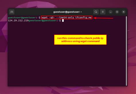 Image result for Linux How to Check IP Address