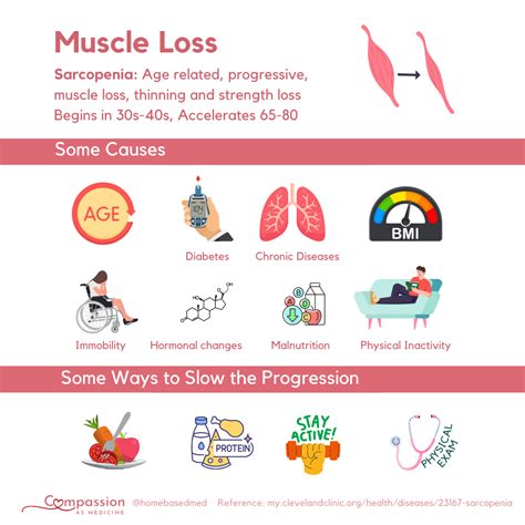 Understanding Muscle Loss: Causes, Management, and Treatment Options – Home Based Medicine