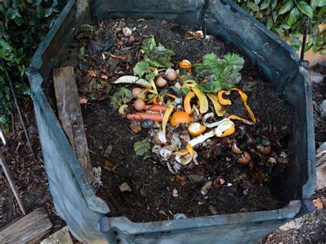 Tips & Information about Composting Basics - Gardening Know How