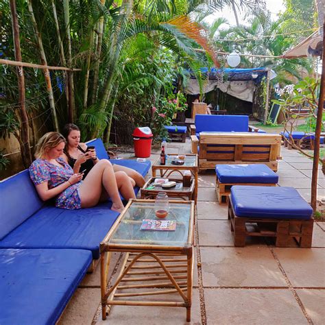 Hopping Frog Anjuna music gigs hostel | LBB Goa