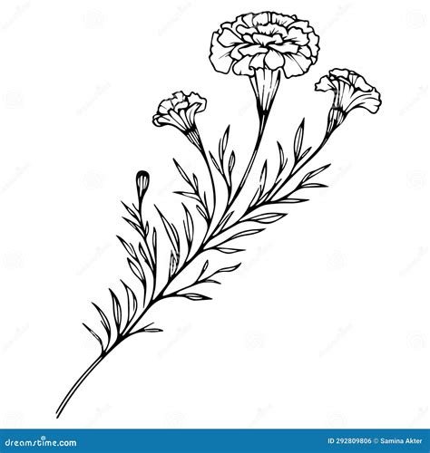 Marigold Flower Tattoo Drawing, Black Marigold Tattoo, Minimalist ...