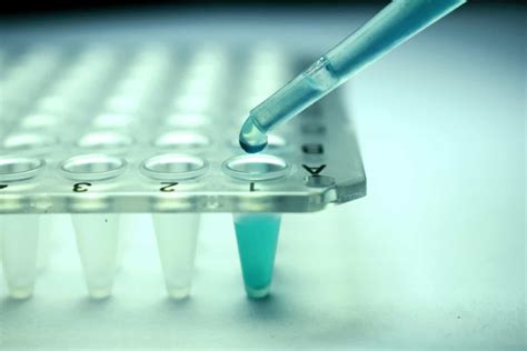 The major medical advances throughout history