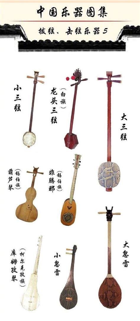 闪转网：中国民族乐器分为哪几类 - 知乎