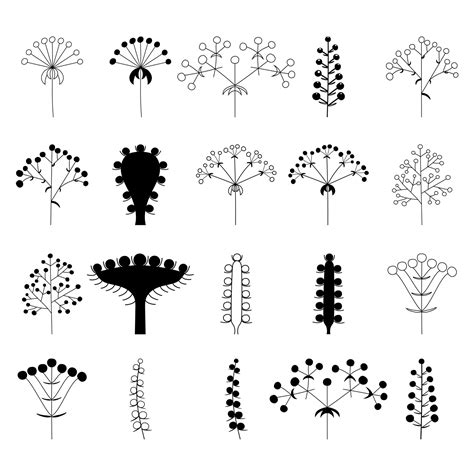 Image result for How to Draw Inflorescences