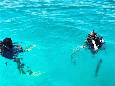 DIVE DIFFERENT FULIDHOO (2026) All You Need to Know BEFORE You Go (with ...