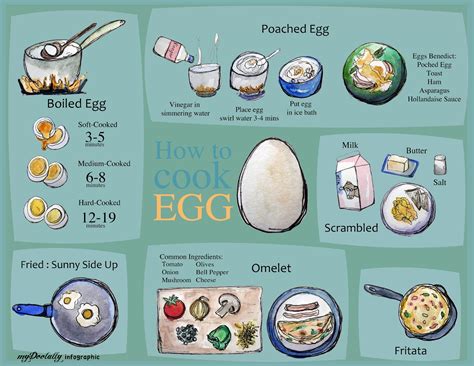 Short-Order Cook Egg Cooking Lesson 的图像结果