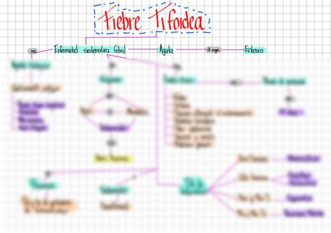 SOLUTION: Mapa fiebre tifoidea - Studypool