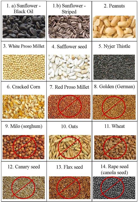 different types of bird seed