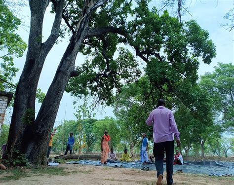 POV-Point Of View ! online visual narratives and documentation