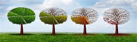 IMAB::International Management Accreditation board