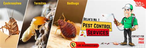 VN Care Pest Control - A Professional Pest Control in Delhi
