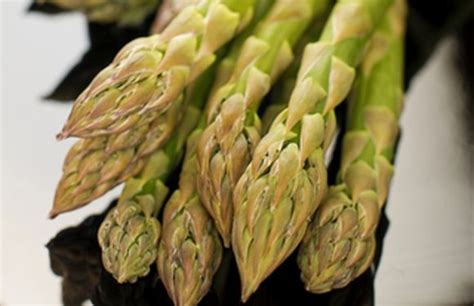10 Superfoods To Knock Stress Out