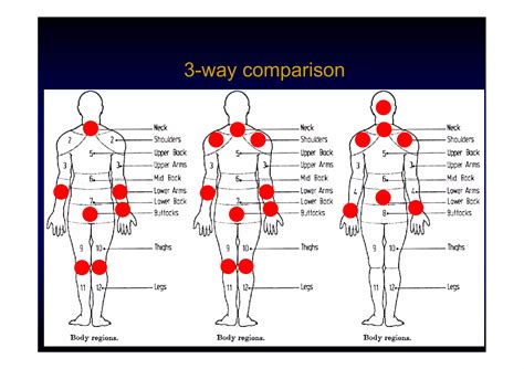 Human-Motorcycle Interaction (HMI): Research issues in motorcycle ergonomics and rider human ...