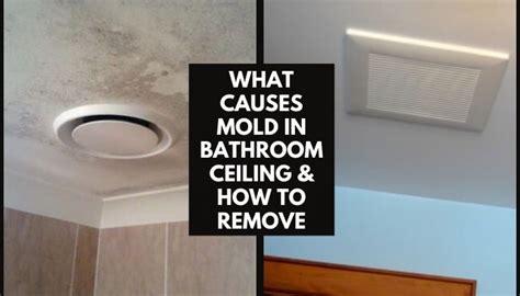 How To Get Mould Off Shower Ceiling at Alonzo Caraway blog