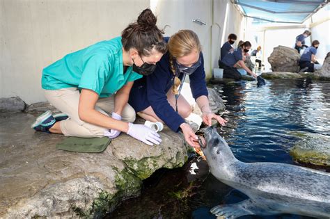 Meet the Aquarium’s Veterinary Team - New England Aquarium
