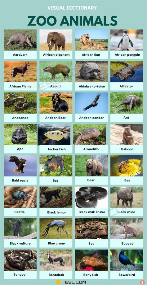 Image result for How Visual Perception Works