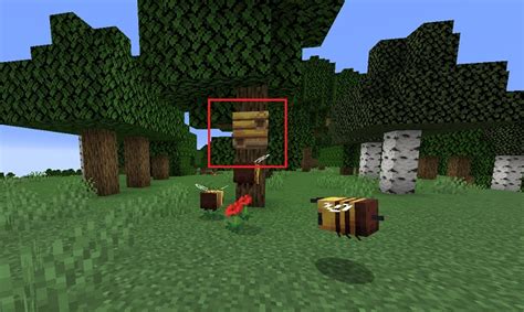 Image result for Bees Minecraft Tutorial