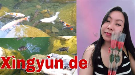 Xingyun de - YouTube