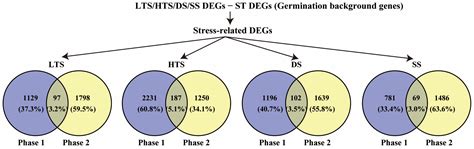 Transcriptome Analysis of Germinated Maize Embryos Reveals Common Gene ...