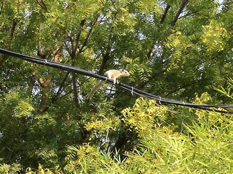 RUBY TRUE HOTEL (Bagan) - Hotel Reviews, Photos, Rate Comparison ...