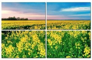 Flower 4 Panel Wall Art Painting With UV Coating 36x24 inches on 4mm ...