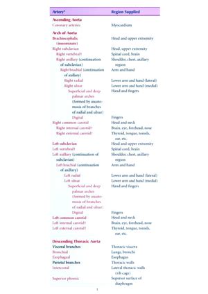 Anatomy of CVS - Details of cardio vascular system - Bsc nursing - Studocu