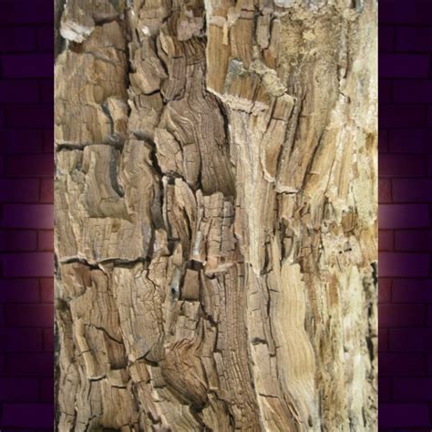 Image result for Wooden Sign Photoshop Tutorial